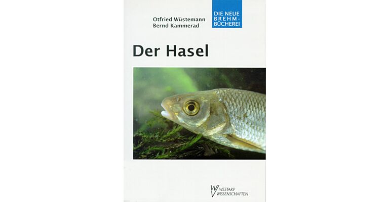 Der Hasel