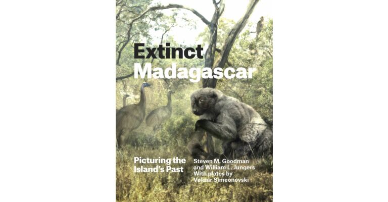 Extinct Madagascar - Picturing the Island's Past