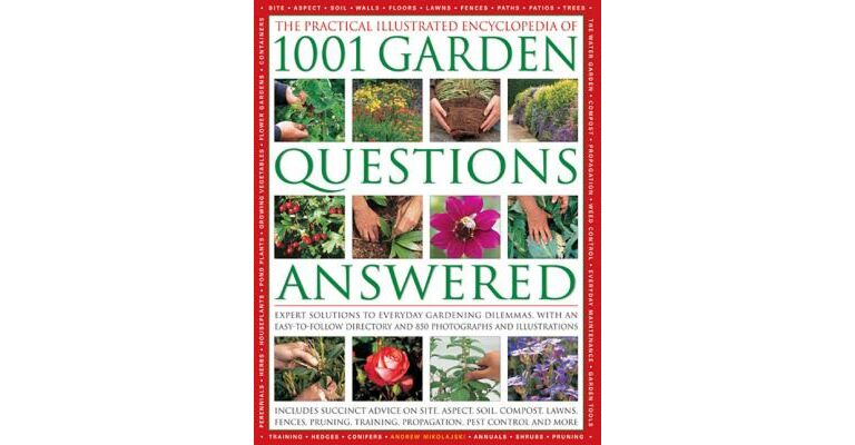 1001 Garden