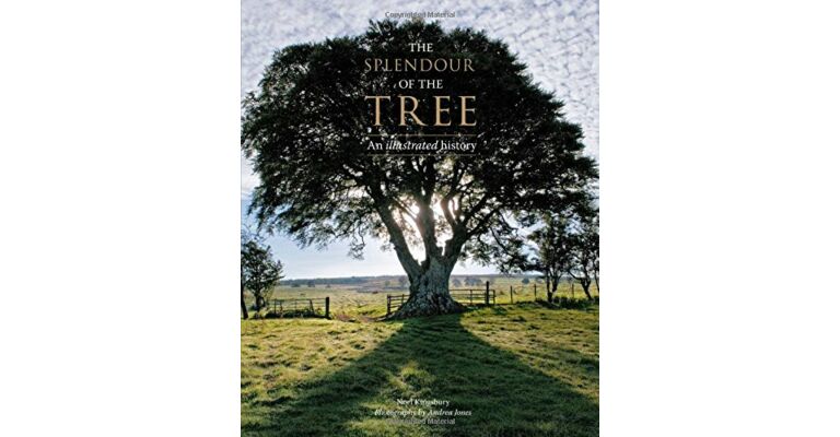 Splendour of the Tree