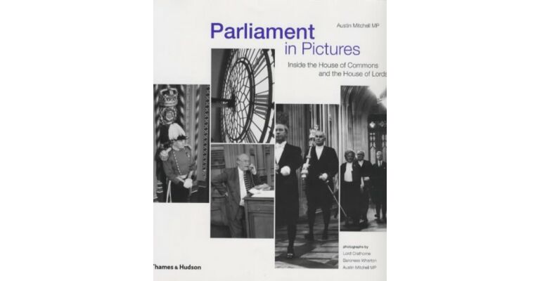 Parliament in Pictures