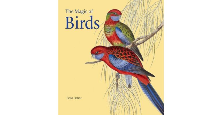 The Magic of Birds
