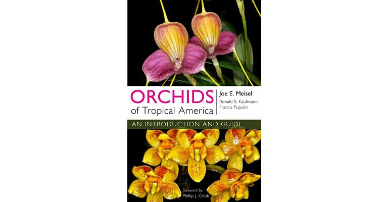 Orchids of Tropical America - An Introduction and Guide