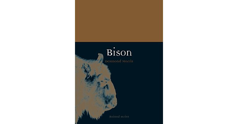 Bison