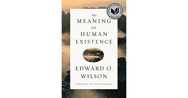 The Meaning of Human Existence