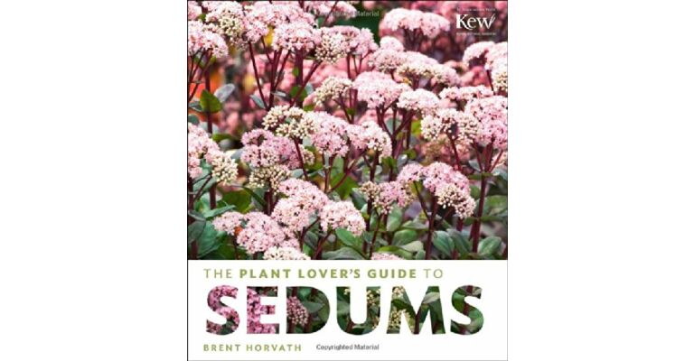 The Plant Lover's Guide to Sedums