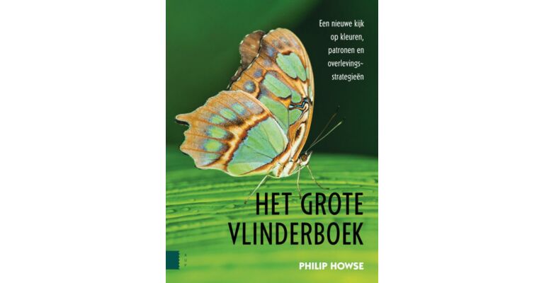 Het Grote Vlinderboek - Een nieuwe kijk op kleuren, patronen en overlevingsstrategieën