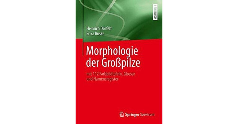 Morphologie der Großpilze