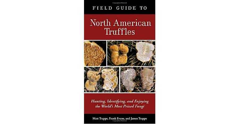 Field Guide to North American Truffles - Hunting, Identifying,, and Enjoying