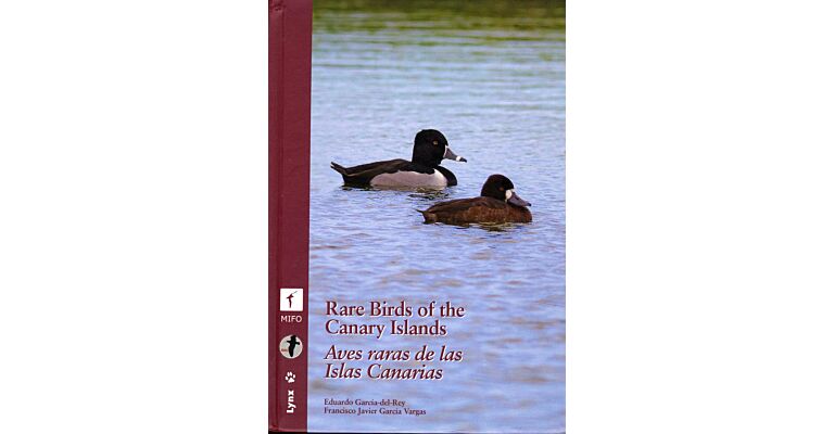 Rare Birds of the Canary Islands - Aves raras de las Islas Canarias