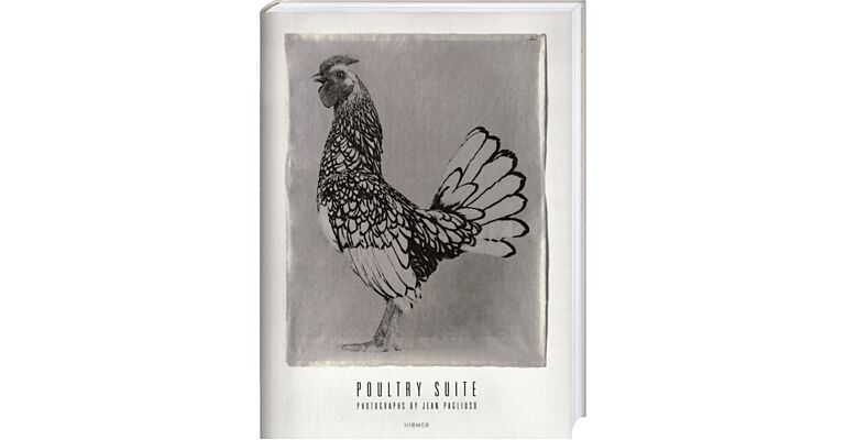 Jean Pagliuso - Poultry Suite