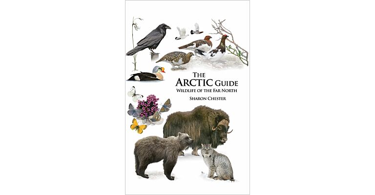 The Arctic Guide - Wildlife in The Far North