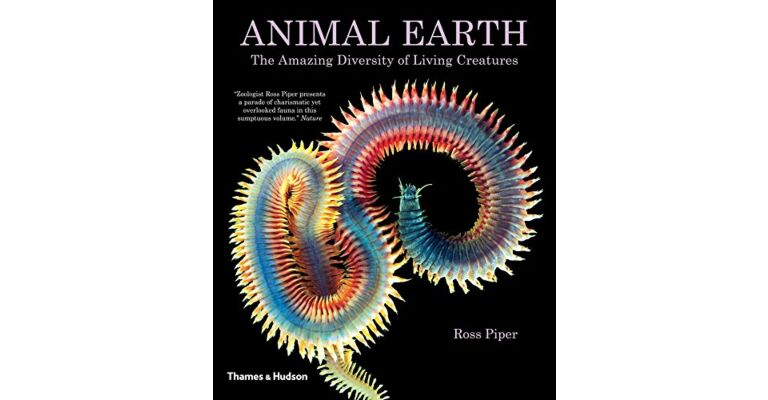 Animal Earth - The Amazing Diversity of Living Creatures (PBK)