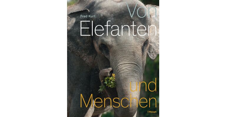 Von Elefanten und Menschen