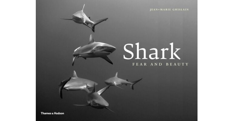 Shark - Fear and Beauty