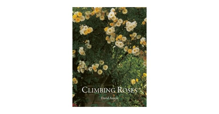 Climbing and Rambler Roses