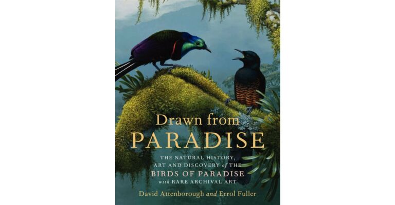 Drawn from Paradise - The Natural History, Art and Discovery of the Birds of Paradise