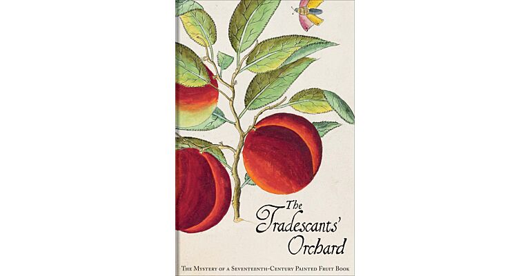 The Tradescants' Orchard - The Mystery of a Seventeenth-Century Painted Fruit Book