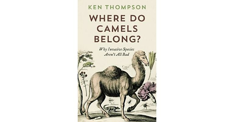 Where Do Camels Belong? - Why Invasive Species Aren't All Bad