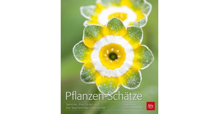 Pflanzen-Schätze
