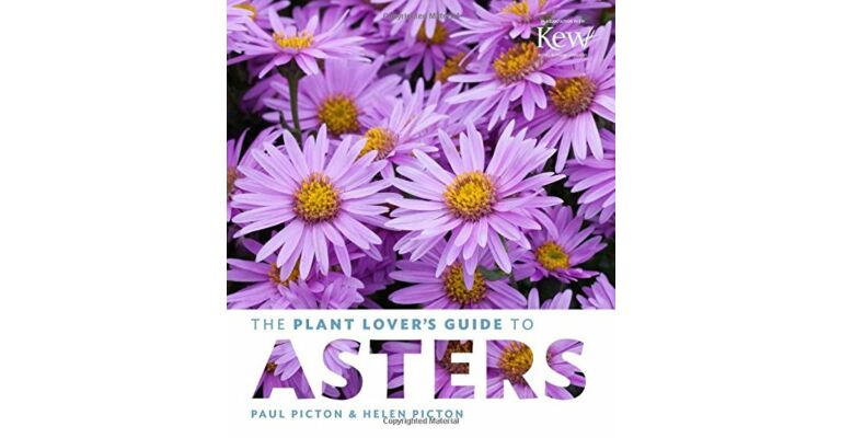 The Plant Lover's Guide to Asters