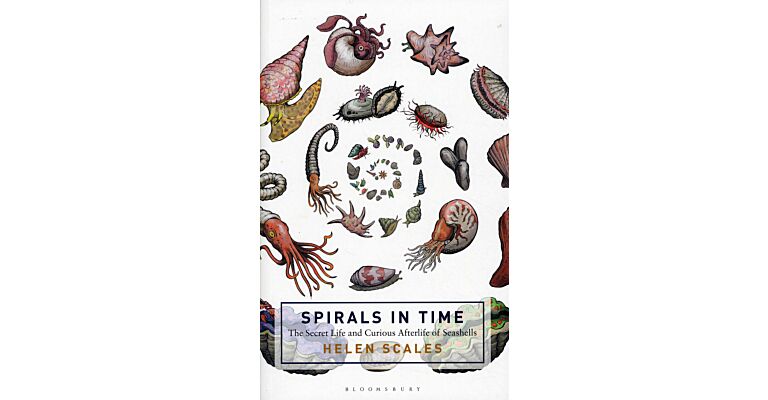 Spirals in Time - The Secret Life and Curious Afterlife of Seashells