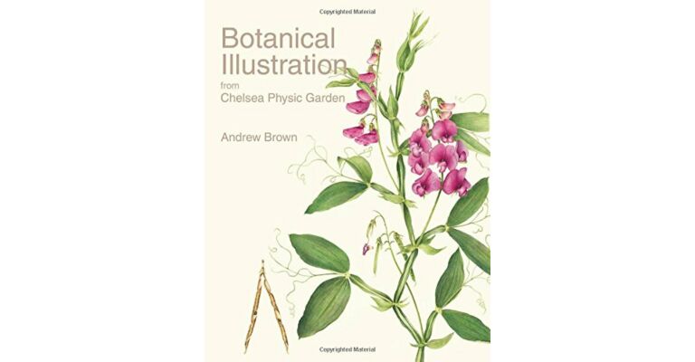 Botanical Illustration from Chelsea Physic Garden