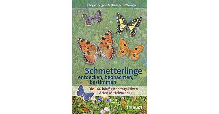 Schmetterlinge entdecken, beobachten, bestimmen