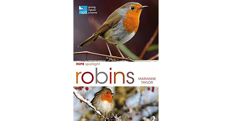 RSPB spotlight - Robins