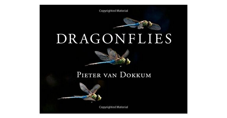 Dragonflies