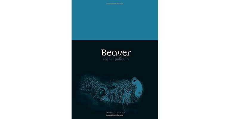 Beaver