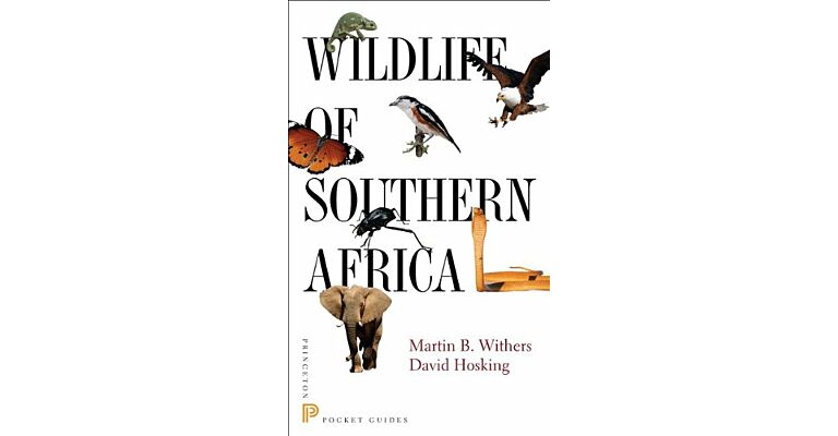 Wildlife of Southern Africa