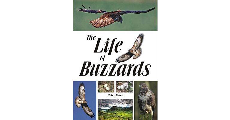 The Life of Buzzards