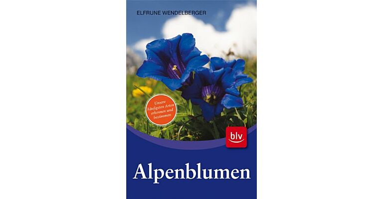 Alpenblumen