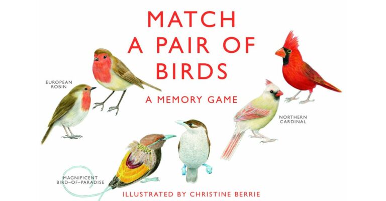Match a Pair of Birds - Memory Game