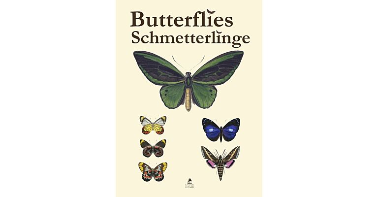 Butterflies Schmetterlinge