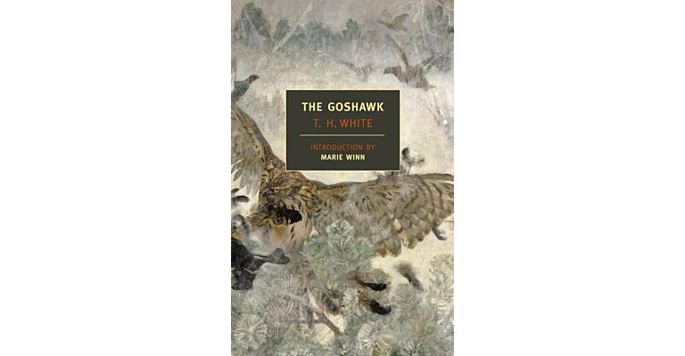 The Goshawk