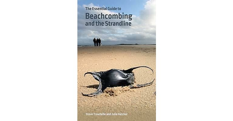 Essential Guide to Beachcombing and the Strandline