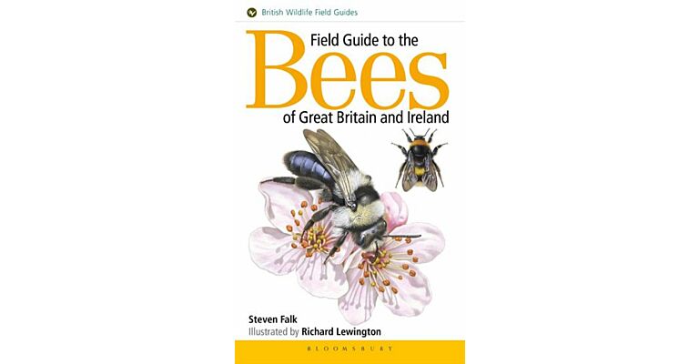 Field Guide to the Bees of Great Britain and Ireland (PBK)