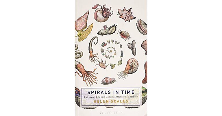 Spirals in Time - The Secret Life and Curious Afterlife of Seashells(PBK )