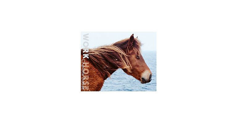 Charlotte Dumas - Work Horse