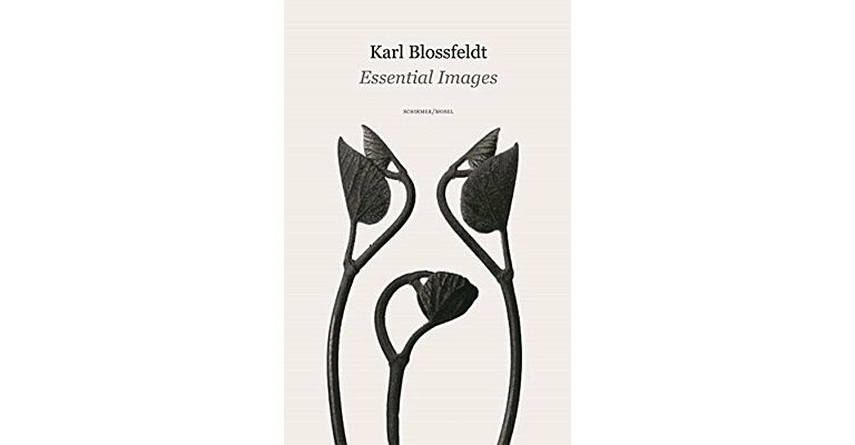Karl Blossfeldt - Essential Images