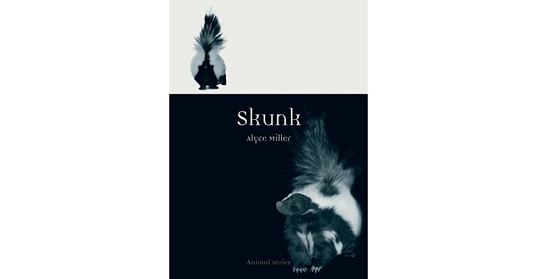 Skunk
