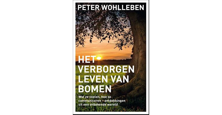 Het Verborgen Leven van Bomen - Wat ze voelen, hoe ze communiceren