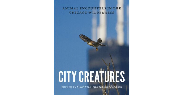 City Creatures - Animal Encounters in the Chicago Wilderness