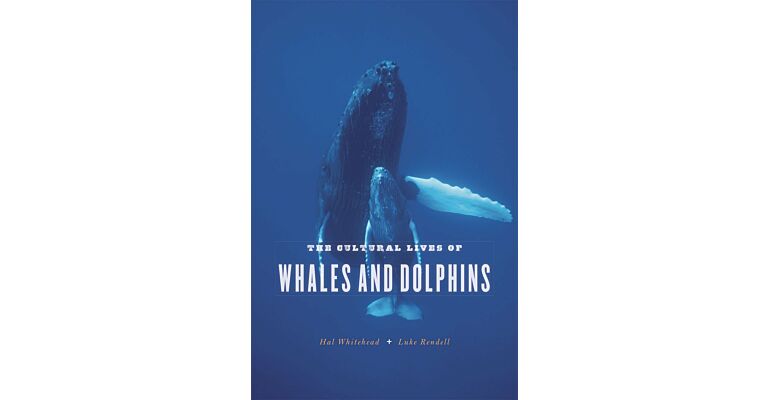 The Cultural Lives of Whales and Dolphins