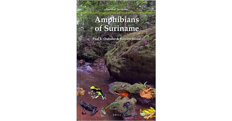 Amphibians of Suriname