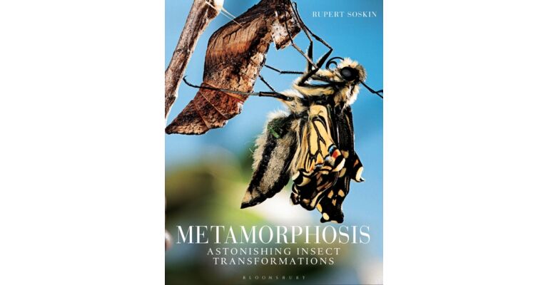Metamorphosis - Astonishing Insect Transformations