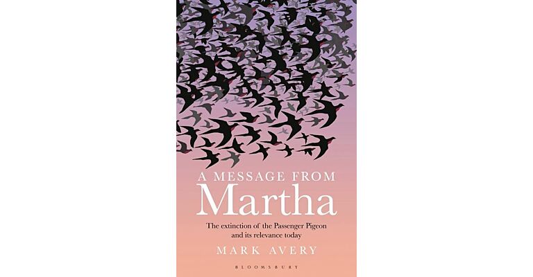 A Message from Martha