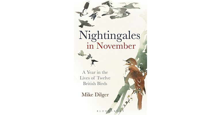 Nightingales in November - A Year in the Lives of Twelve British Birds